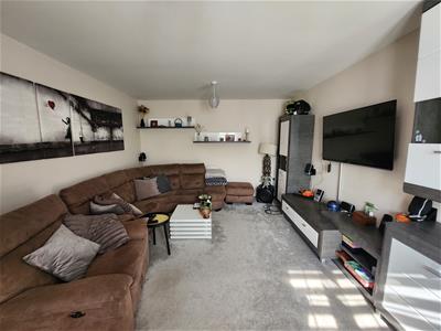 Picture 12